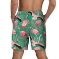 thumbnail image 4 of Haiem Tropical Flamingo Mens Swim Trunks with Compression Liner 2 in 1 Swimming Shorts Stretch Swimwear Quick Dry,Board Shorts-3X-Large, 4 of 9