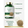 Fennel Seed 480mg 200 Capsules Herbal Supplement by Carlyle