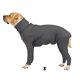 thumbnail image 5 of Greeniant Traje de recuperación de perro de nailon, tela transpirable, protección artesanal exquisita, costuras finas para interior Ropa para mascotas Gris profundo S, 5 of 6