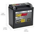 EverStart Premium BOXED AGM Power Sport Battery, Group Size TX14L 12