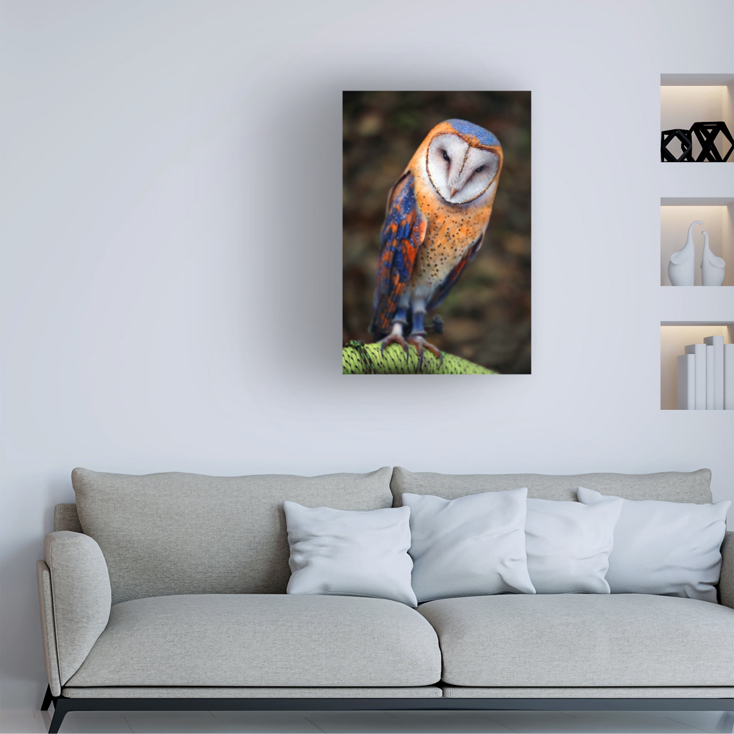 Ben Heine 'Cute Owl' Canvas Art