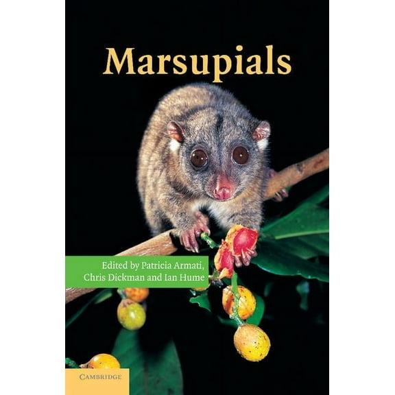Marsupials, (Paperback)