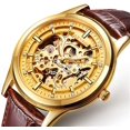 AESOP Men Skeleton Analog Automatic Self Winding Mechanical Wrist Watch