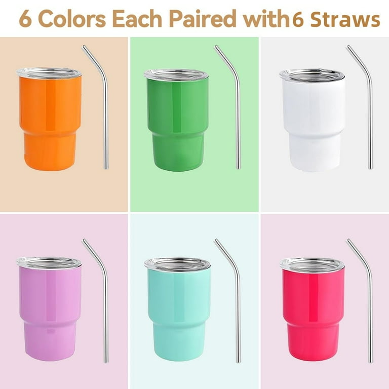 Double Wall Vacuum Insulated Stainless Steel Mini Tumbler Pair: Ultimate Drinkware Duo