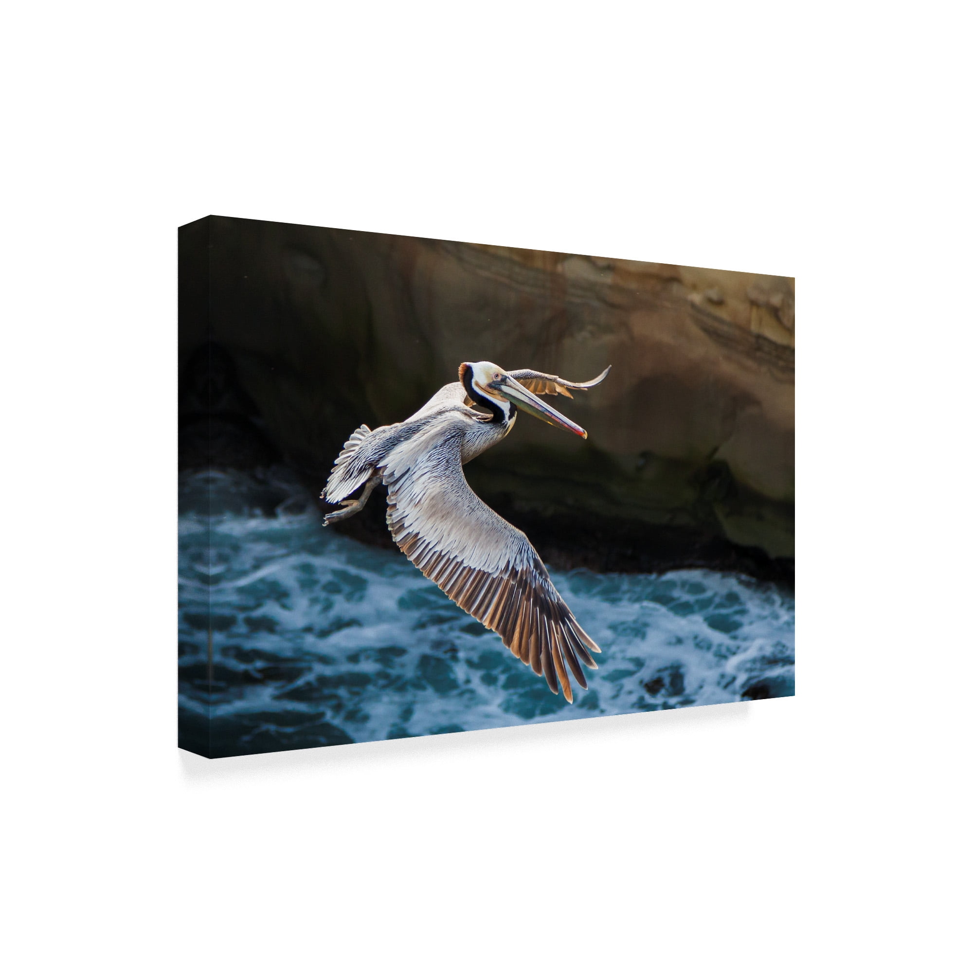 Trademark Fine Art 'Pelican Flight' Canvas Art by Chris Moyer