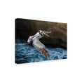 thumbnail image 2 of Trademark Fine Art 'Pelican Flight' Canvas Art by Chris Moyer, 2 of 3