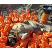 Sandbags For Flooding - Size: 14 x 26 - Orange - Sandbags Empty - Sandbags Wholesale Bulk - Sand Bag - Flood Water Barrier - Water Curb - Tent & Store Bags (10 Bags)