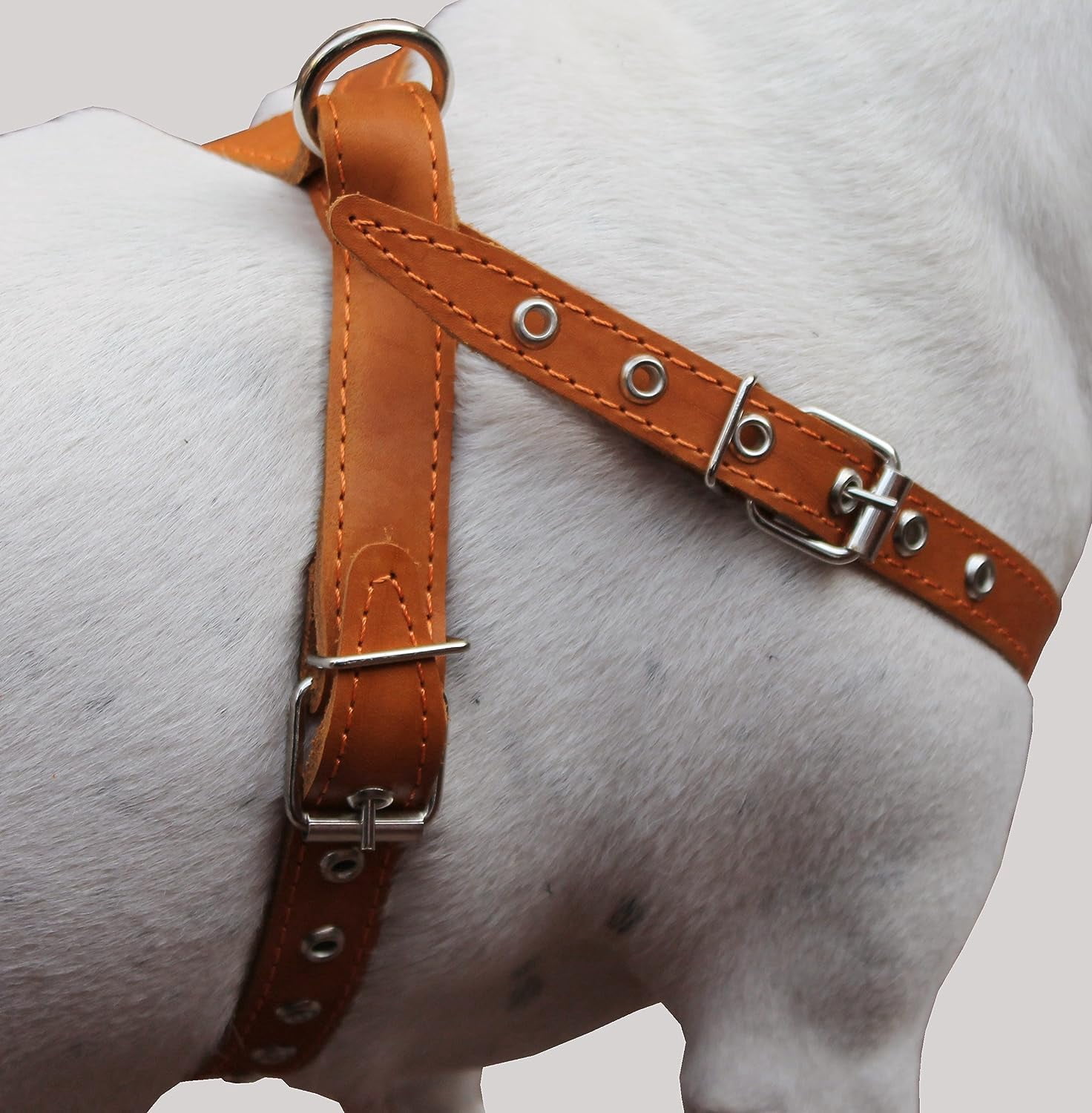 Tan High Quality Real Leather Dog Harness Medium. 21"-25" Chest, 1" Wide Straps