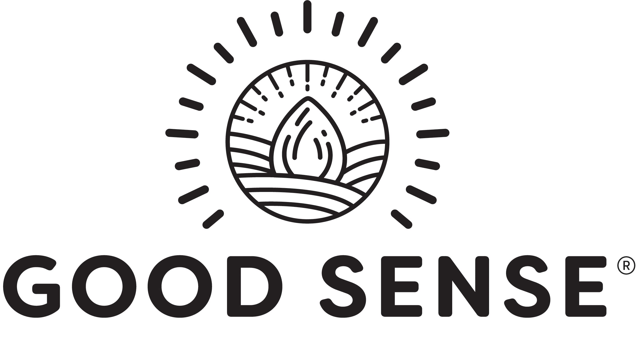 Good Sense Sunflower Seeds Honey 7.5 oz. (Pack of 48)