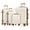 White Tan, variant on 4 Piece Luggage Set 16/20/24/28 inch Hardside Lightweight Suitcase with Spinner Wheels (Black Tan)