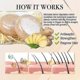 thumbnail image 2 of 1/2/3pcs Ginger Hair Regrowth Shampoo Stick Organic Ginger Polygonum Shampoo Soap Hair Regrowth Lotion, 2 of 5