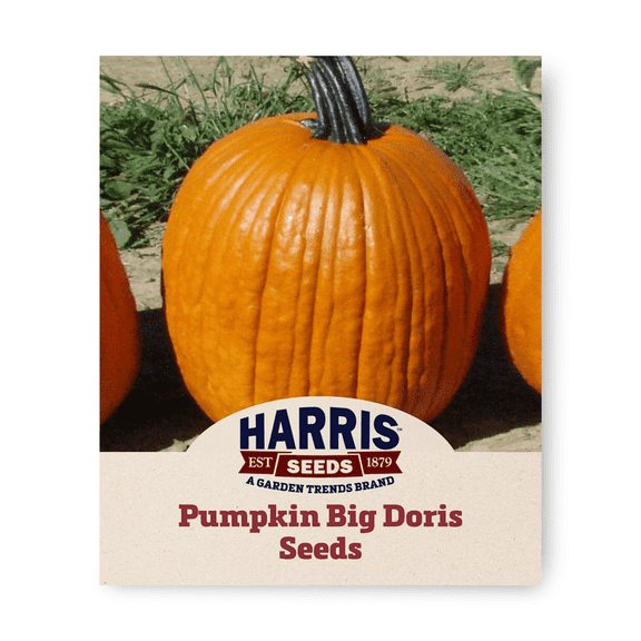 Harris Seeds - Pumpkin Big Doris Non-GMO Vegetable - FarMore Treated - 1000 Seeds