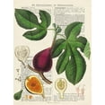 thumbnail image 2 of Dellal, Remy 12x14 Gold Ornate Wood Framed with Double Matting Museum Art Print Titled - Fruits de saison, Figues, 2 of 4