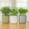 thumbnail image 7 of Vego Garden 2 Pack Self-Watering Mini Planter Box with Trellis Sage Green, 7 of 7
