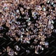 Agiferg 3000Pcs 2MM DIY Diamant Table Confettis Cristal Clair Événements Accessoires de Fête – image 1 sur 5