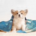 thumbnail image 2 of JUNZAN Waterproof Pet Blanket Dog Blankets, Cloud Sunshine Puppy Pattern Printing Super Soft Warm,Urine Proof Washable Pet Blanket, 2 of 5