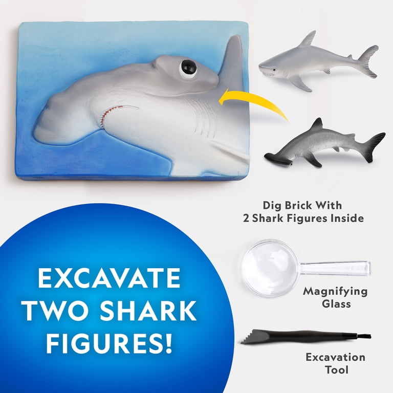 National Geographic Shark Dig Kit Excavation Science photo 2