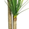 thumbnail image 3 of Nearly Natural 58.5" Yucca Silk Tree with 230 Leaves in Green/Black, 3 of 5
