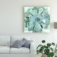 thumbnail image 3 of Trademark Fine Art 'Verdant Succulent III' Canvas Art by Victoria Borges, 3 of 3