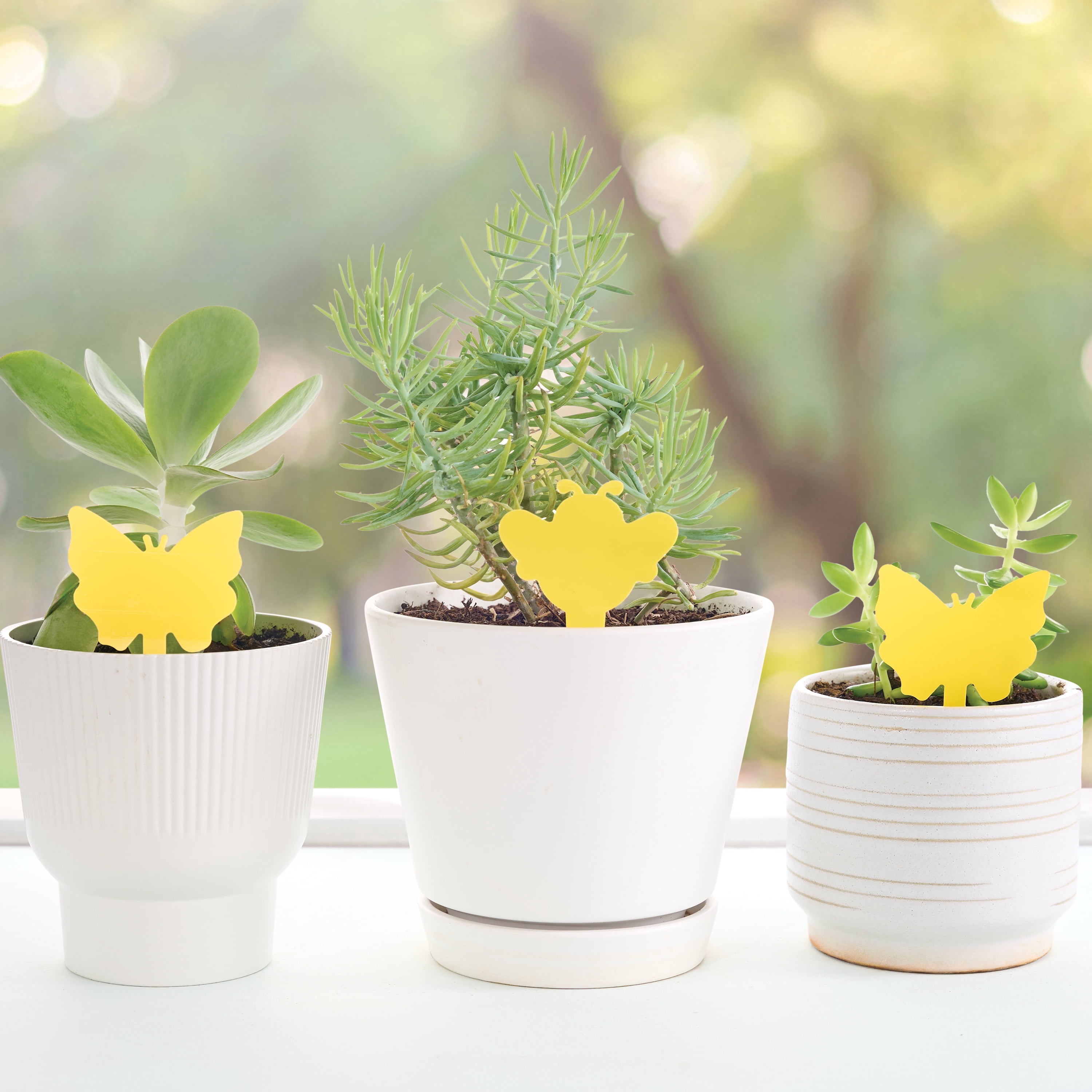 Expert Gardener Plant Insect Sticky Traps for Gnats, Aphids, and Plant Lice, 12 Pack