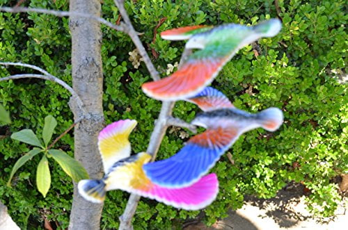 Color May Vary Amazing Balancing Bird 