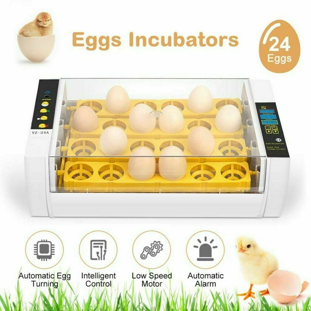 incubator for eggs temperature incubator for eggs temperature