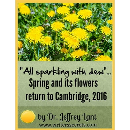 Cambridge Springs Pa Postcard -
