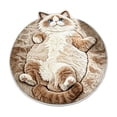 thumbnail image 5 of 3D Cute Cat Round Floor Mat, Funny Animal Print Non Slip Rug for Bedroom Entrance Home Decor, 5 of 6