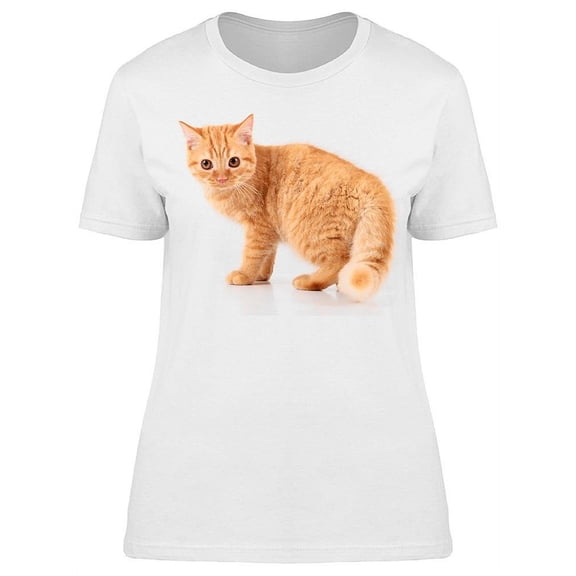 Red Hair Kitten Looking At You T-Shirt Women -Image by Shutterstock, Female Medium