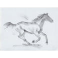 thumbnail image 2 of Green, Jacob 32x25 Gold Ornate Wood Framed with Double Matting Museum Art Print Titled - Smoke Stallion I, 2 of 4