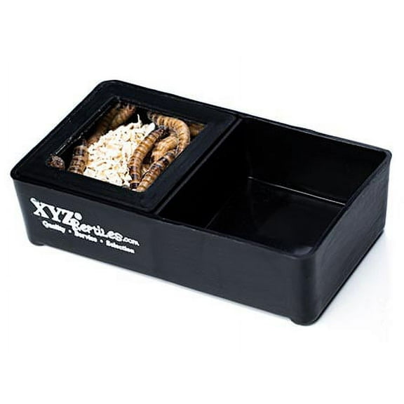 Mealworm Feeding Dish Water Bowl Combo
