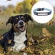 thumbnail image 3 of Collar para perros tapizado en neopreno jacquard reflectante 3M de seguridad suave de 9 colores Blueberry Pet, 3 of 5