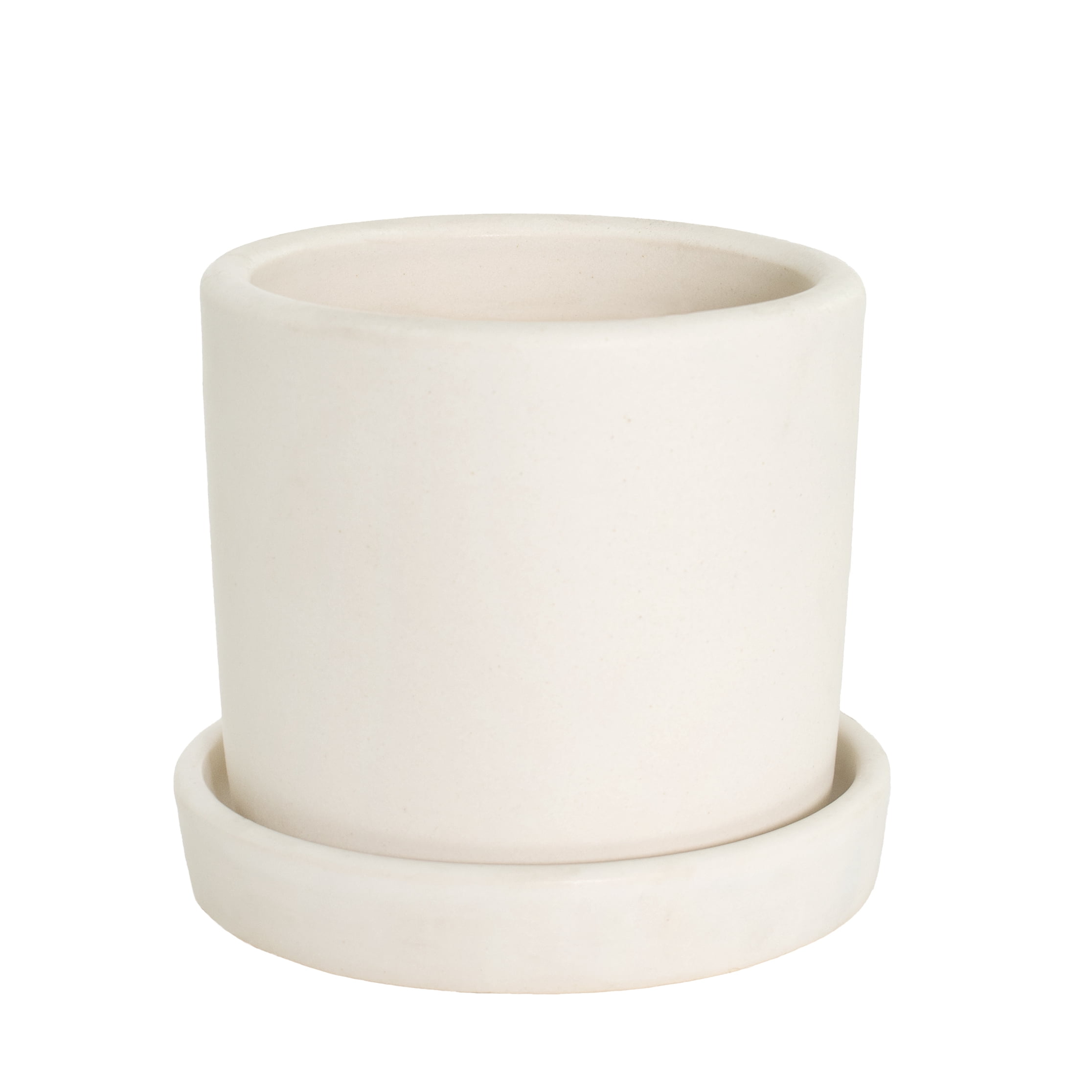 7 in. Cream Planter w/Saucer and a 8 in. Banana Dwarf Cavendish Live Houseplant with Indirect Sun