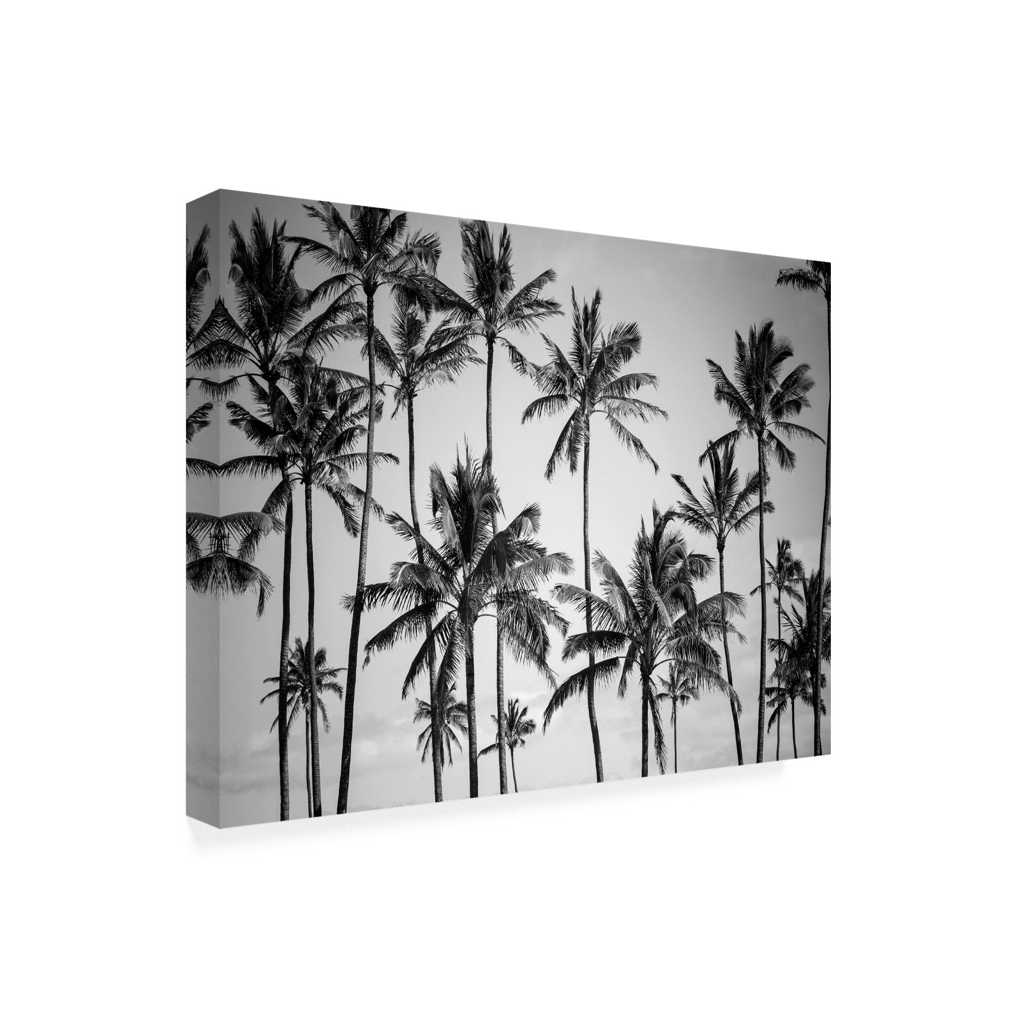Trademark Fine Art 'Palm Heaven Fabrikken' Canvas Art by Design Fabrikken