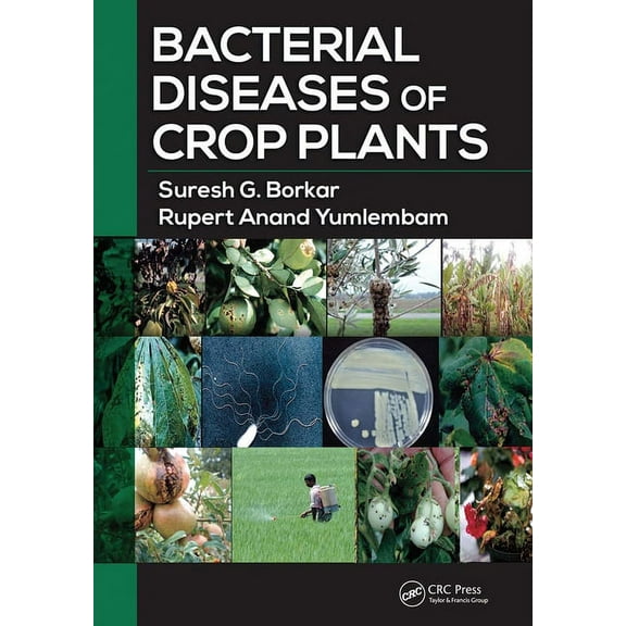 Bacterial Diseases of Crop Plants, (Paperback)