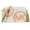 Cantaloupe Multi, variant on Michael Kors Women's Jet Set Logo Pvc Medium Camera Crossbody Bag (Luggage Multi)