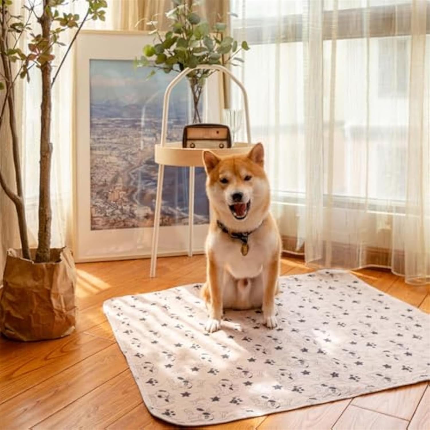Pee Pads - The Last Pee Pad You'll Get, Washable for Dogs & Cats, Leak-Proof & Anti-Slip Pet Training Pads for Home & Travel  (C, L)