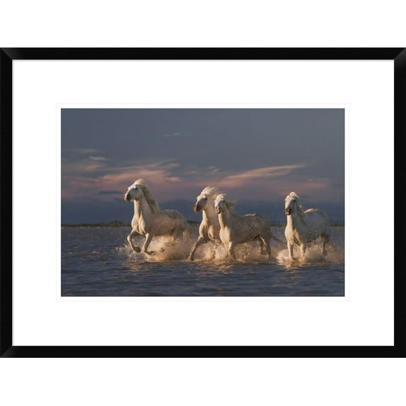 Global Gallery Rostovskiy Anton 'Angels Of Camargue' Framed Wall Art