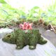 thumbnail image 5 of Teissuly Garden Ceramics Succulent Small Flowerpot - Ceramics Succulent Flower Pots Suitable For Decorating Desktop Balconies In All Seasons - Unique Garden Planter Teissuly WER202312146578, 5 of 6