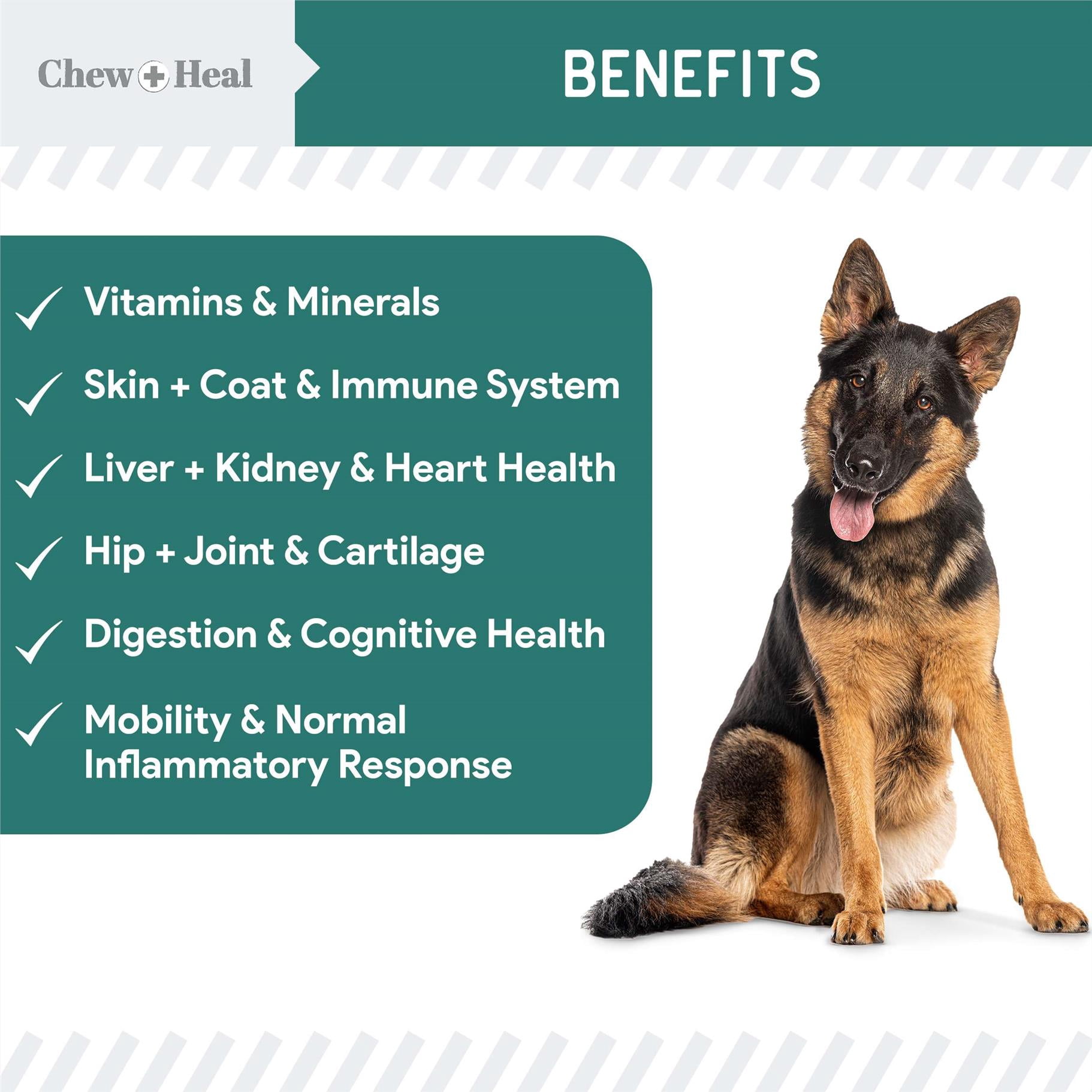 Chew + Heal 12-in-1 Multivitamin for Dogs - 120 Puppy and Senior Dog Soft Chews for Hip and Joint