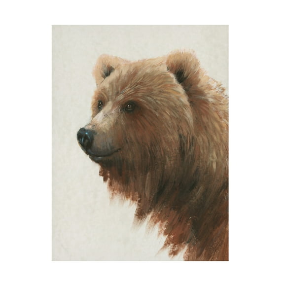 Tim OToole 'Western Portrait I' Canvas Art