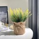 thumbnail image 4 of Artificial Plant In Pots Mini Potted Flowers Plant In Cloth For Home Decor Party Wedding Garden Table Office Patio Decoration, 4 of 6