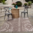 thumbnail image 5 of Rugs.com Outdoor Bohemian Collection Rug – 4' x 6' Brown Flatweave Rug Perfect For Entryways, Kitchens, Breakfast Nooks, Accent Pieces, 5 of 5