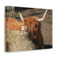 thumbnail image 2 of Funny Yak Silly Yak Scene Outdoor Wall Art Ready to Hang Unframed, 2 of 18