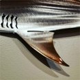 thumbnail image 4 of SDJMa Shark Metal Wall Art Decor,Shark Metal Art Wall Hanging Ornament Art Wall Decoration Ocean World Color Shark Metal Wall Sculptures for Patio Office Living Room Bedroom Home Hall Decoration, 4 of 6