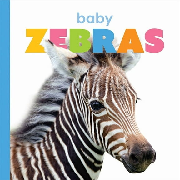 Starting Out: Baby Zebras (Paperback)