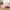 Pink Green, variant on Cowboy Hat Duvet Cover No Comforter, Cute Bow Knot Cowgirl Bedding Sets For Bedroom, Kawaii Disco Printed Room Decor Bed Cover, Brown Pink Western Comforter Cover
