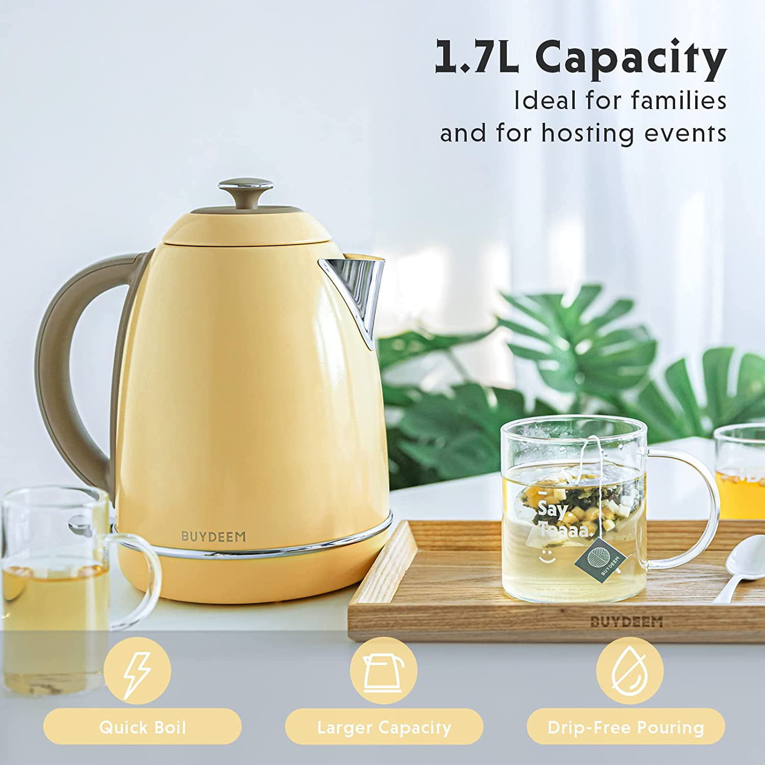 BUYDEEM K640N Stainless Steel Electric Tea Kettle with Auto Shut-Off and  Boil Dry Protection, 1.7 Liter Cordless Hot Water Boiler with Swivel Base