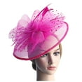 thumbnail image 2 of CAIXIA Fascinators Hat Flower Mesh Ribbons Feathers on a Headband and a Clip Tea Party Headwear for Girls and Women, 2 of 4
