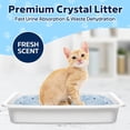 thumbnail image 3 of Arena para gatos TAKTICK Crystal, control de olores superior, 8.6 libras, 3 of 9